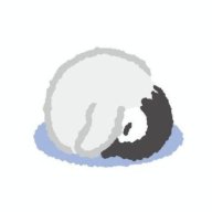 笨笨IKUN