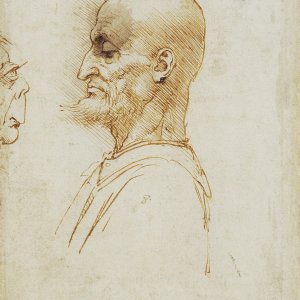 Leonardo da Vinci (03) -