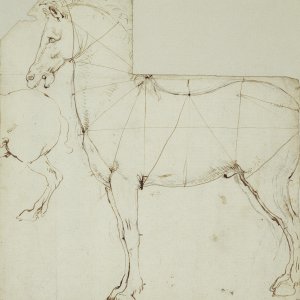 Leonardo da Vinci (09) -
