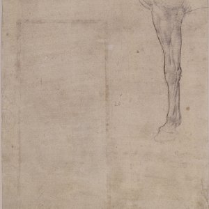 Leonardo da Vinci (10) -