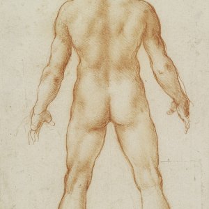 Leonardo da Vinci (11) -