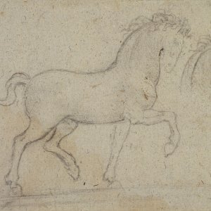 Leonardo da Vinci (17)