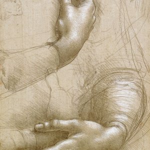 Leonardo da Vinci (19)