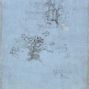 Leonardo da Vinci (21) -
