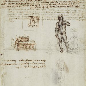 Leonardo da Vinci (23)