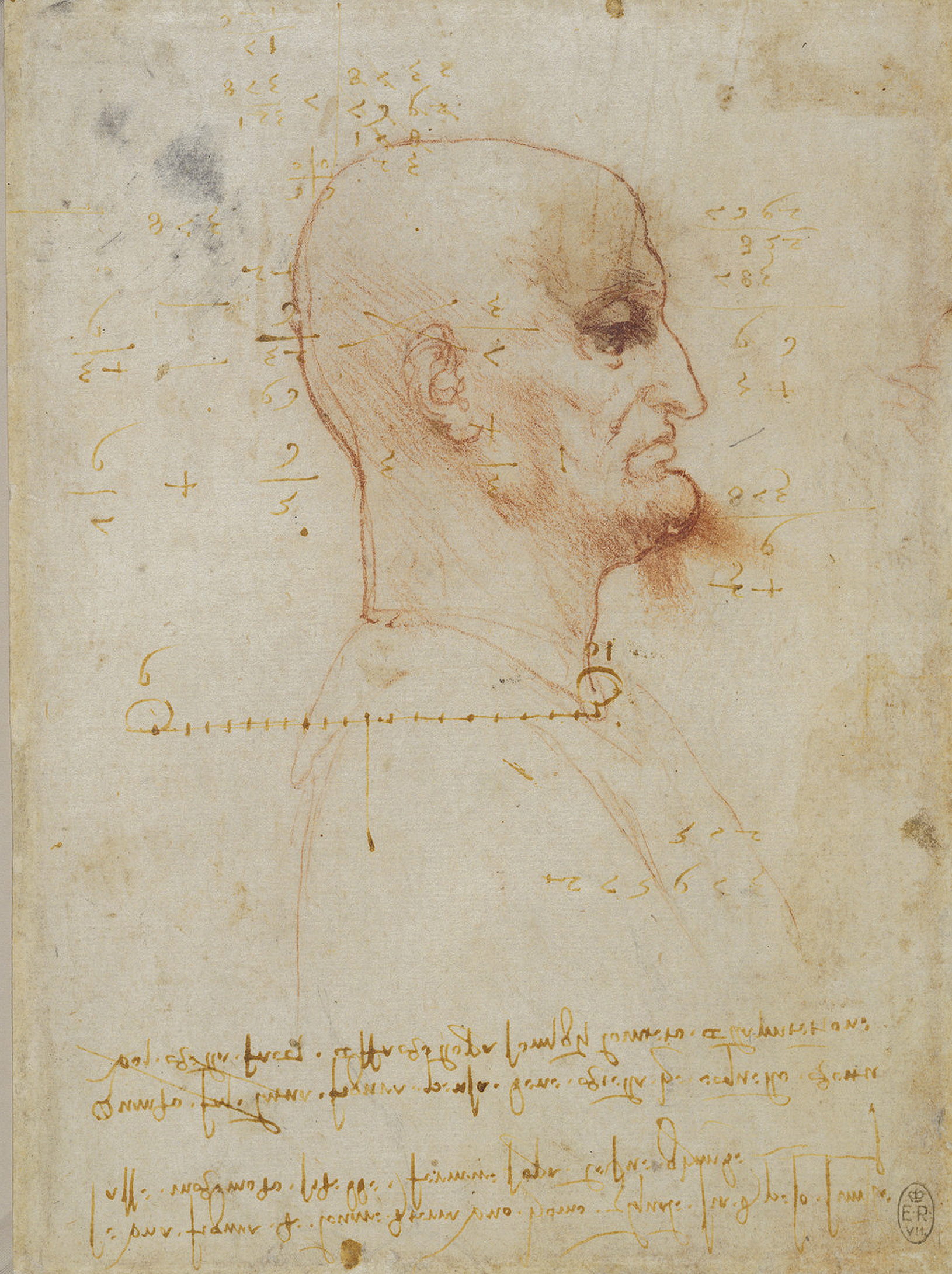 Leonardo da Vinci (04) --