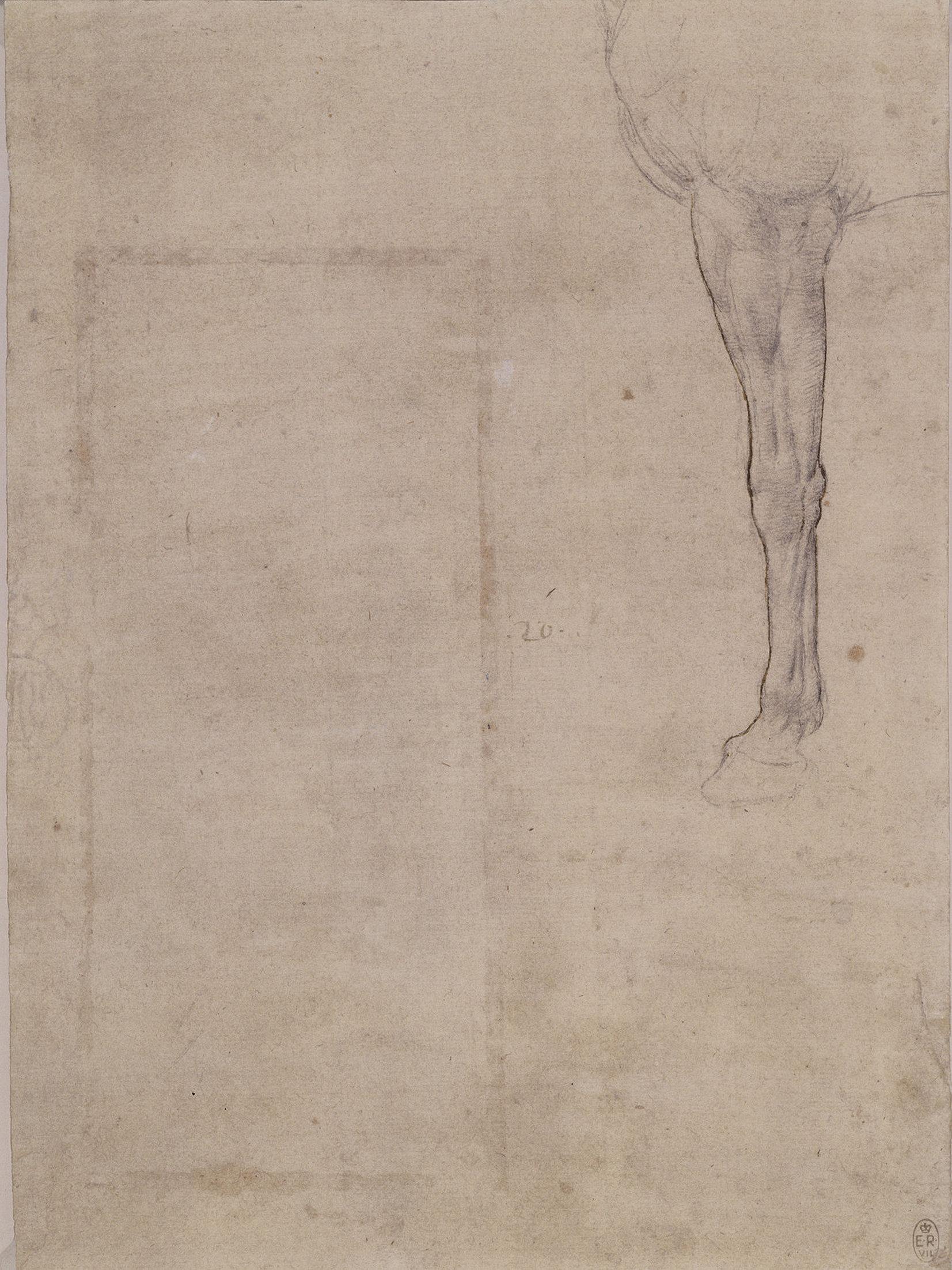 Leonardo da Vinci (10)