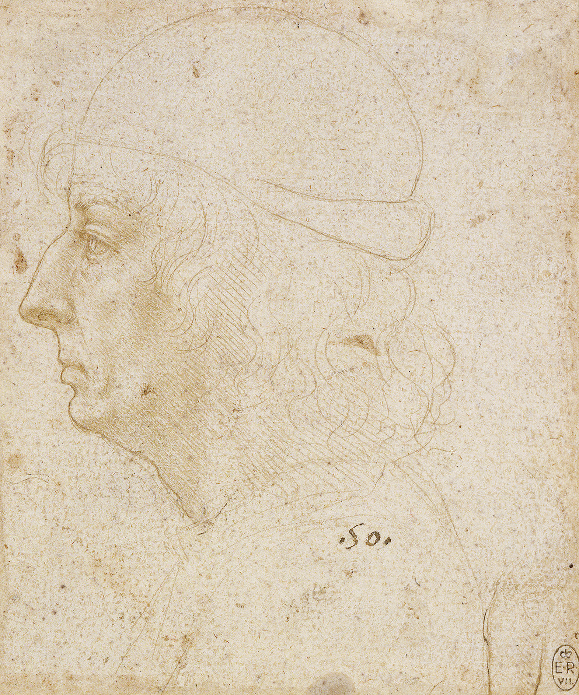 Leonardo da Vinci (14)