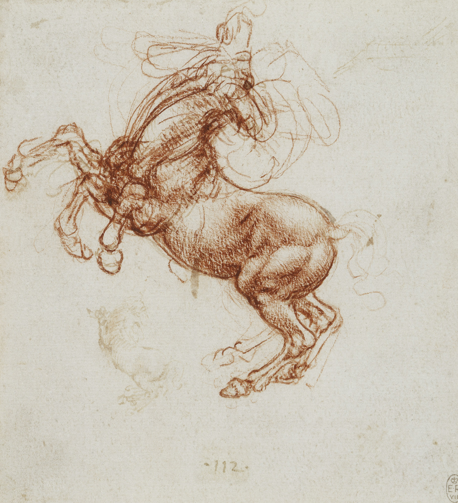 Leonardo da Vinci (15)
