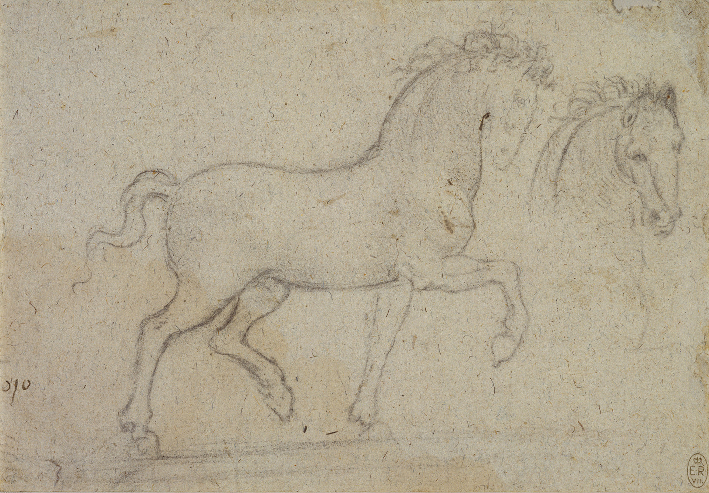 Leonardo da Vinci (17) -