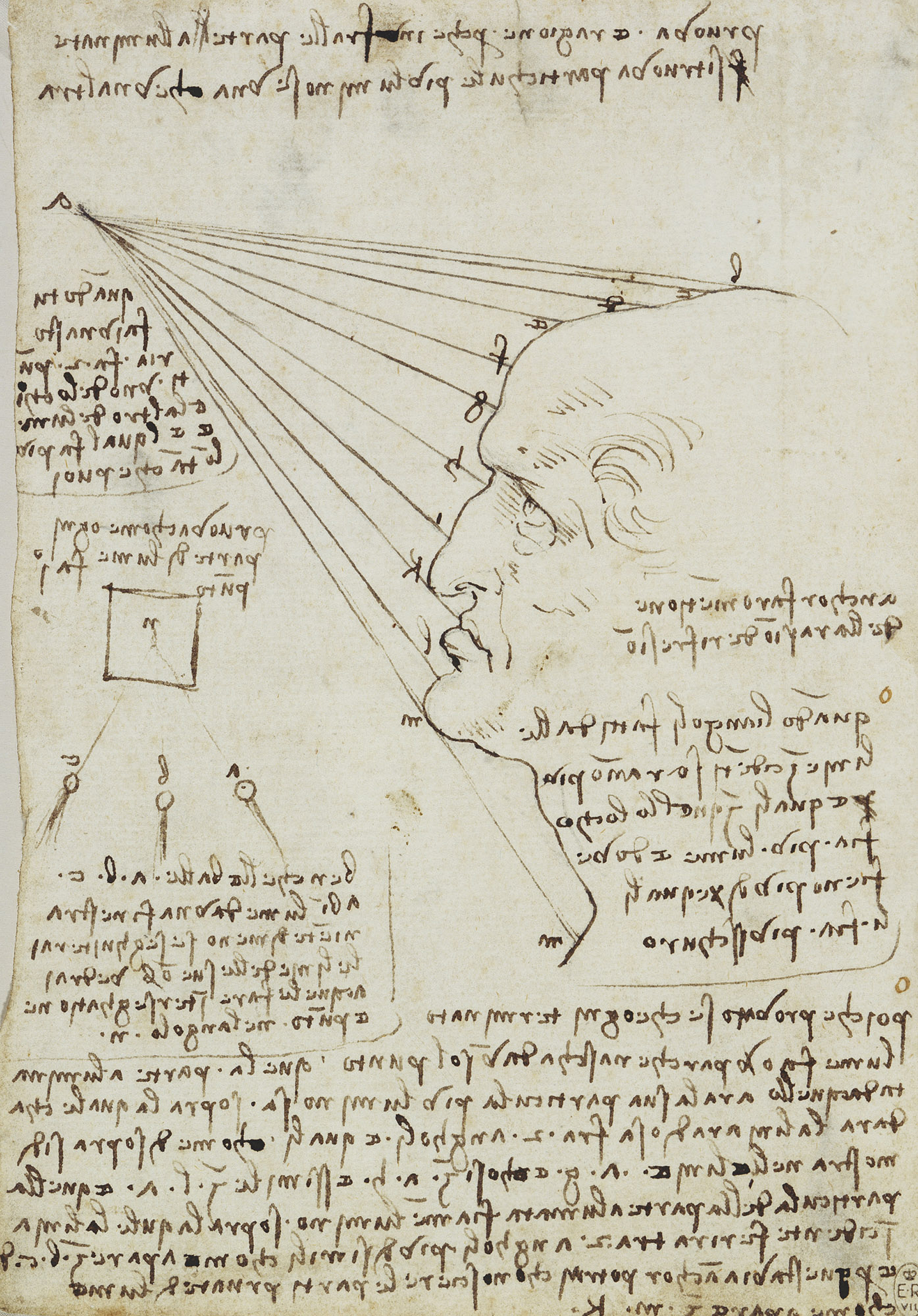 Leonardo da Vinci (20) -