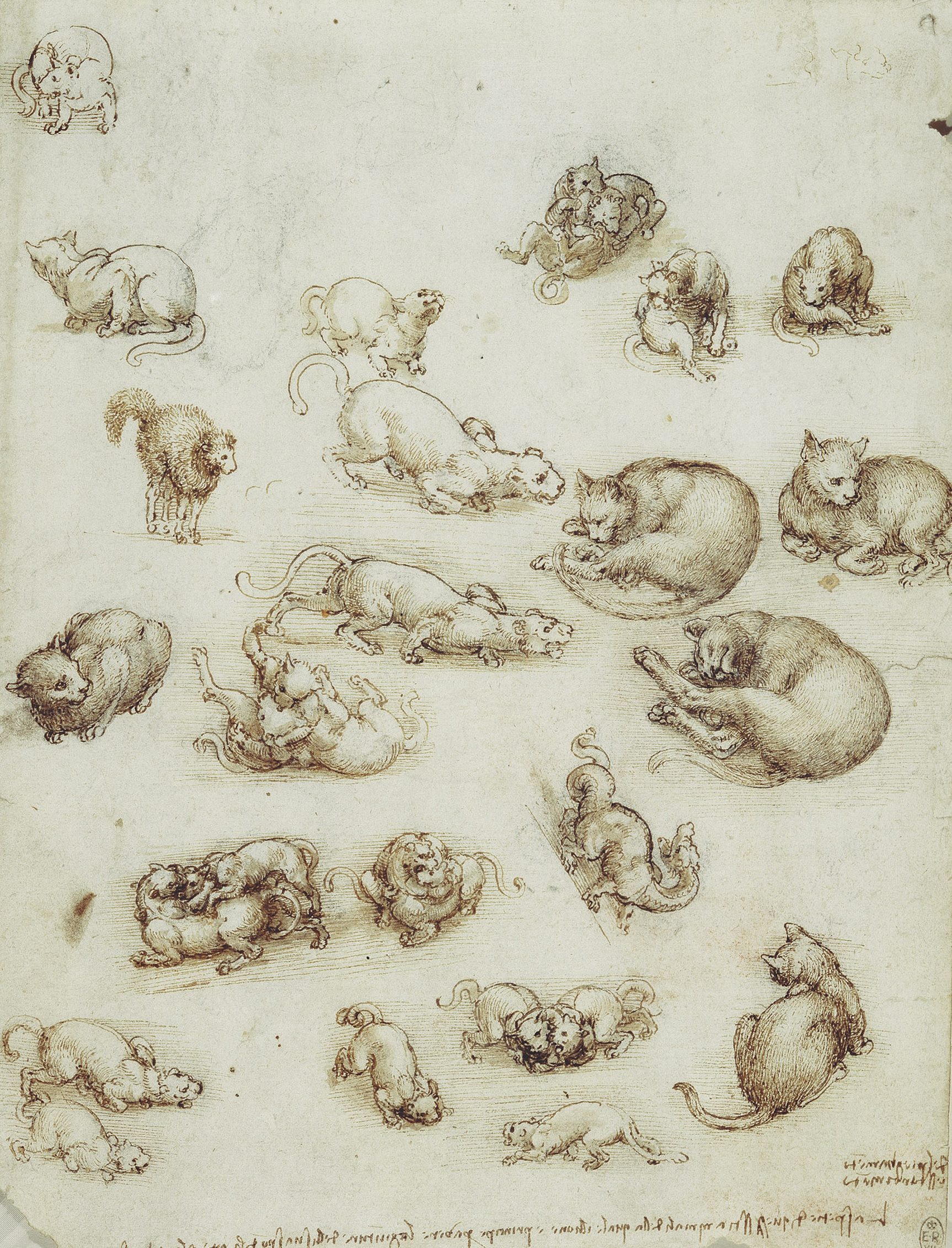 Leonardo da Vinci (22) -