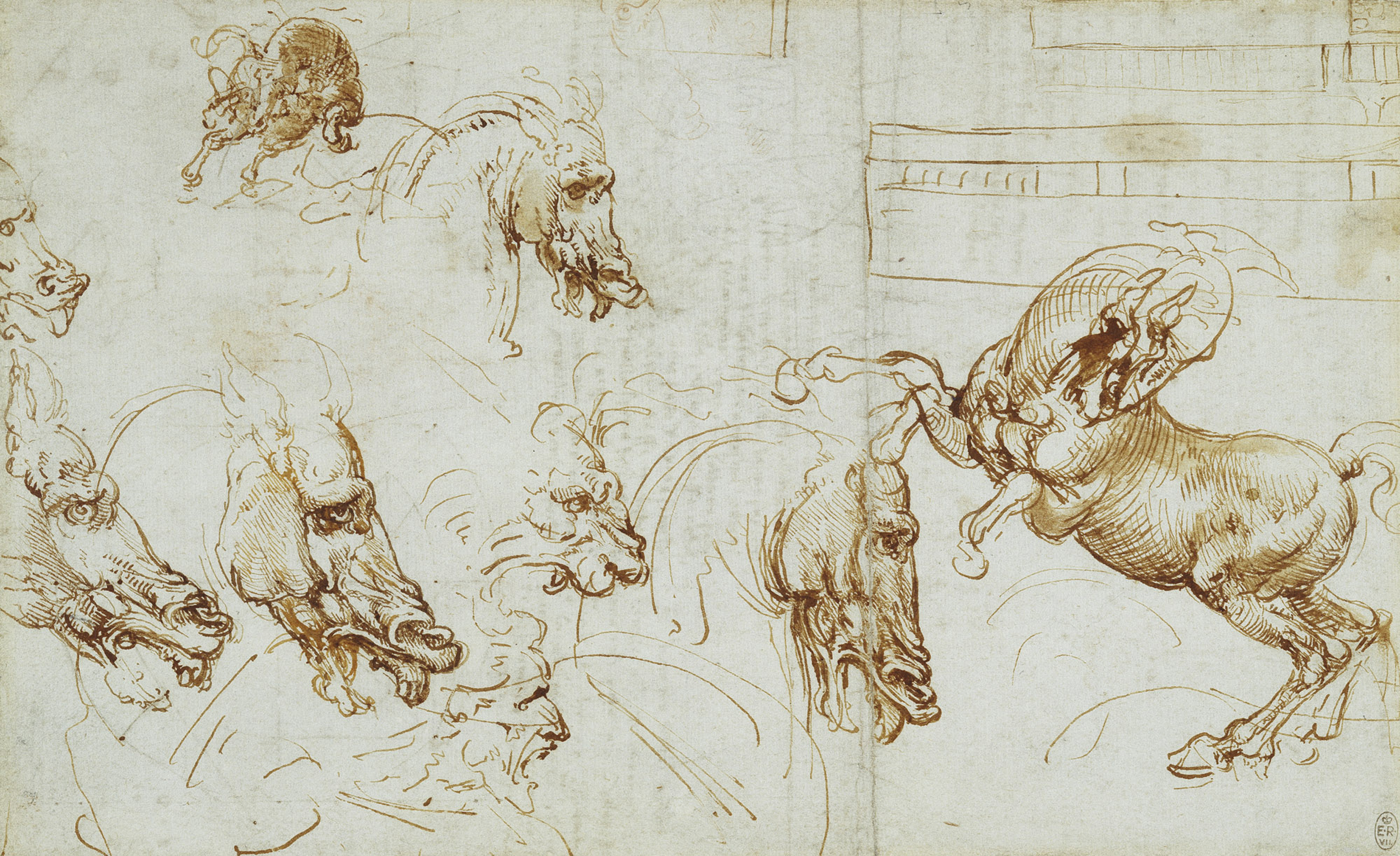 Leonardo da Vinci (24)
